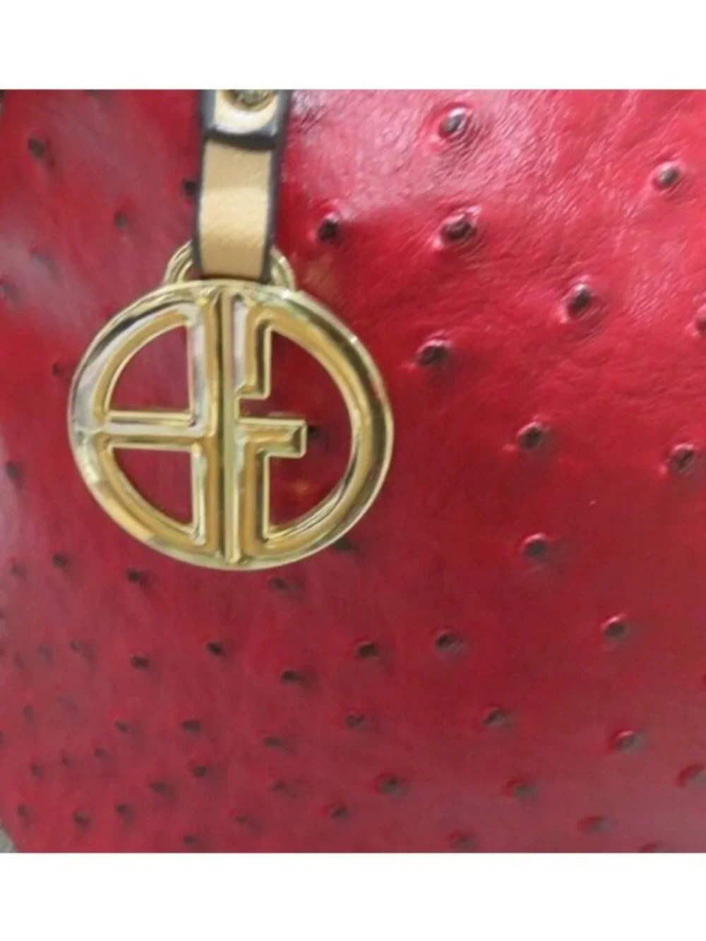 Giani Bernini Vibrant Red Ostrich Leather Crossbody Charm Satchel Handbag Wallet